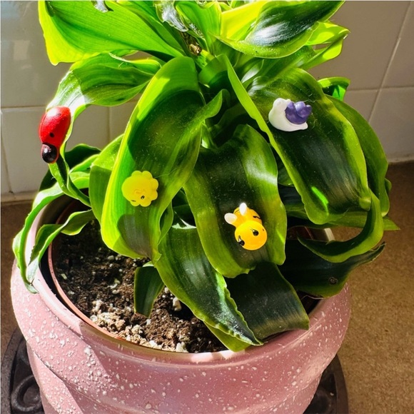 🍃30 pack of PetalPals plant Magnets🍃 - Picture 3 of 12